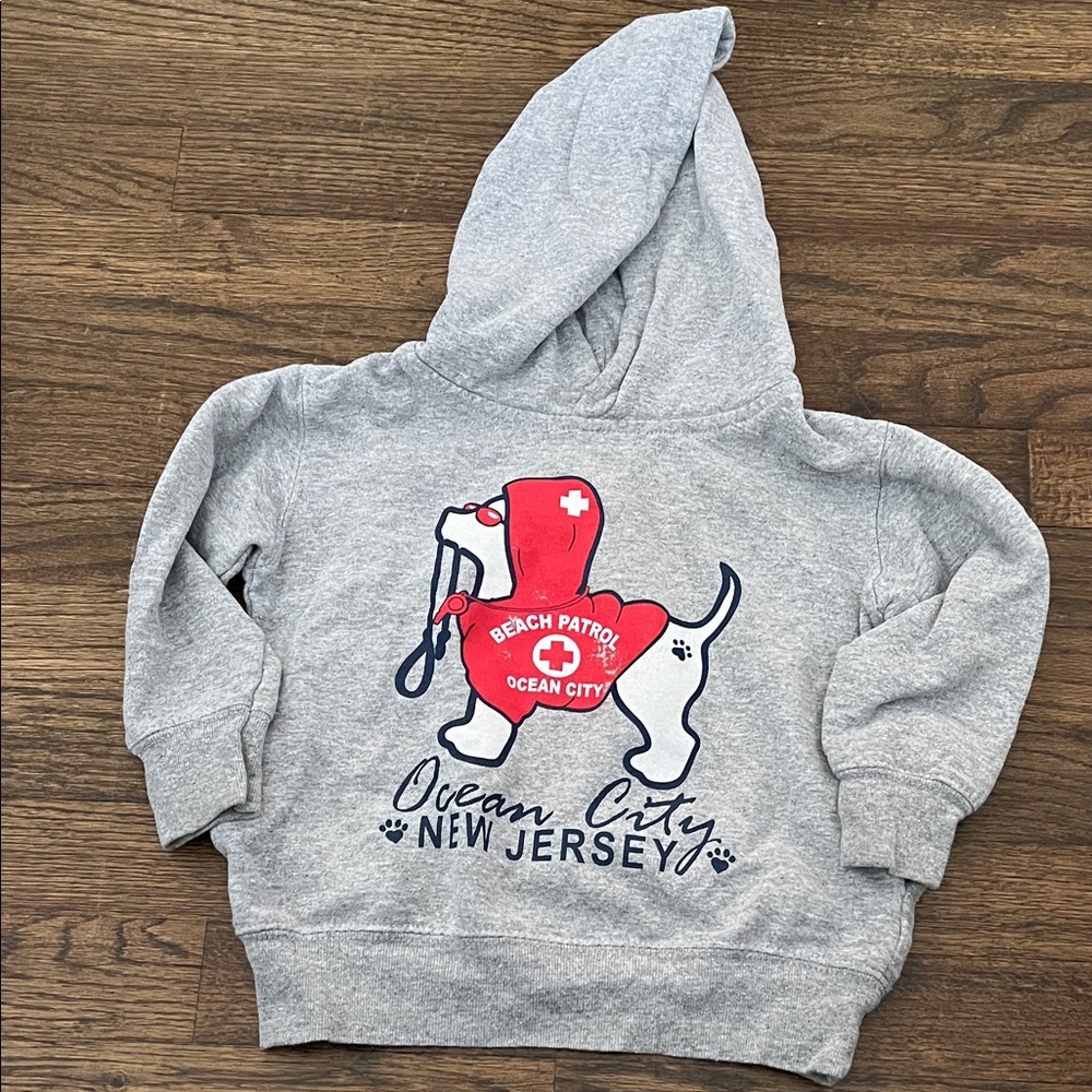 Gray Kids Hoodie with Ocean City NJ (OCNJ) Beach Patrol Graphic